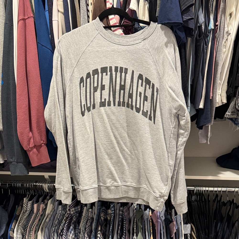 Gray Copenhagen Men's Sweater